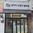 강아지고양이편의점하계점