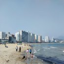 광안리 - 종로구 | 광안리