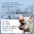 행복한 돼지 이미지