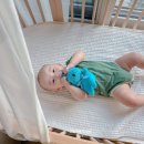 슬리피 | 데이베드 아기침대 스토케 슬리피 후기 이동식 원목 신생아 침대