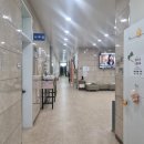 서울농장 | 영암 서울농장 체험 후기 - 숙소 식사 체험 /사진많음