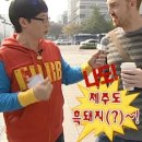 누렁이도 찰스로 애견샵 | 제주도 일주일 살기(구좌, 서귀포, 애월) 8박 9일 여행 경비 및 숙소 정리