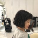 라윤 이미지