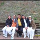 영월 금호정 이미지