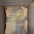 복지농장 | 봄빛 농장에서 최고의 동물복지 유정란 후기