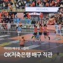 우면산7-2-3 | OK저축은행 배구단 2025-26시즌 마지막 경기 직관후기 2-7구역 3