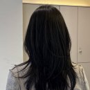 라비쏘헤어 이미지