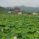 온혜농부들 이미지