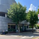 등촌샤브샤브 부산본점 | 일산 맛집 등촌샤브칼국수 본점 후기 | 푸짐한 미나리 샤브샤브와 볶음밥까지 완벽한 점심