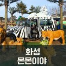 [향남] 화성 아이와가볼만한곳 &lt;몬몬이야 동물카페&gt;
