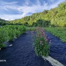 정위농장 이미지