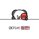 트립올라 이미지