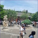 자금성 Daum카페