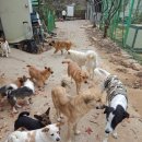 코앤덕농장 이미지