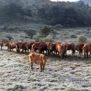 초지서로 이미지