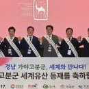 가야-7 오마이뉴스