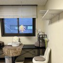 포레스트 캣호텔 이미지