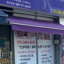 동백퀸바디 다이어트