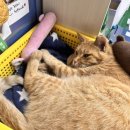 원천중학교 이미지