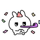 클래식나무 이미지