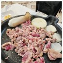 본가오리 이미지