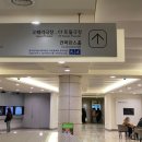 뮤지컬 일테노레 서경수 박지연 전재홍 예술의전당 CJ토월극장 관극 시야 후기
