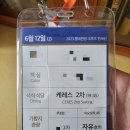 세레나목장 | [일본/크루즈] 5박 6일 코스타 세레나 북해도 가족여행, 선택관광 삿포로(무로란) 찐후기(롯데관광 매우...