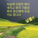 소망보세
