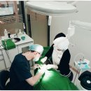 형치과의원 이미지