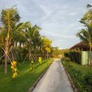 시크릿푸드 이미지