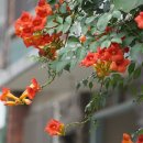 백록당한의원 이미지