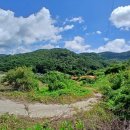 유구목장 이미지