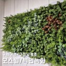 구례여자중학교 | 벽면녹화 아트월, 고급 인조식물 조화 및 스칸디아모스월 시공! 구미남계초/구례여중