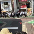 앨리스 베이프