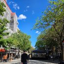 미무드 | 바르셀로나 신혼여행 아이폰 스냅 /고딕지구/무드미 스냅 후기 👩‍❤️‍👨