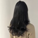어니스트헤어 이미지