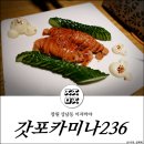 상남동236 이미지