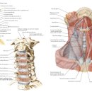 율하힐링의원 이미지