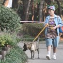 복돌이네 이미지