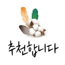 상남동165 이미지