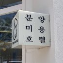 퍼피스캔들 이미지