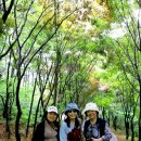 산성파크 이미지