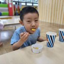 행복한 히어로 태권도 이미지