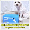 강아지 화식 자연식 테이스트오브네이처 캥거루 천연 항산화 부스터 콰트로 머쉬룸 페스토 급여 후기