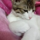 아리랑 노래연습장 이미지