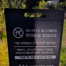주문북로 | 거제 북로 카페 W181 에서 커피한잔