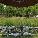 서일농장 이미지