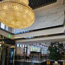 다인 앞 | 제주 다인리조트 애월 조식 인피니티 수영장 이용후기