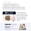 디엠소프트 | 보미오라 다이어트환 44일차 –6kg 리얼후기 적절한 복용 방법 &amp; 강도 ✅42%적용중 ( 보미오라 디톡스환...