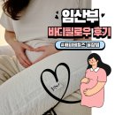 해피PC | 임산부바디필로우 29주차 임산부 실사용 후기-해피테일즈